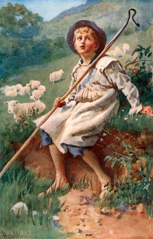 Shepherd Boy的歌 作者 哈罗德·应付