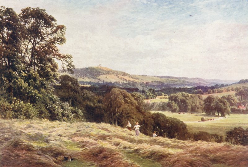 A Hayfield，Wonersh（彩色印刷版） 作者 哈罗德·萨顿·帕尔默