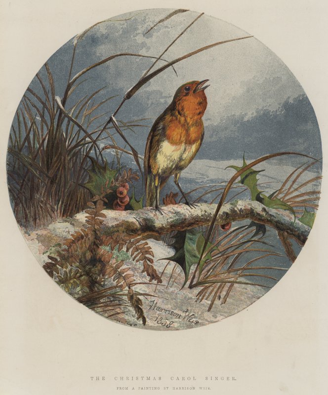圣诞颂歌歌手（chromolitho） 作者 哈里森·威廉·威尔