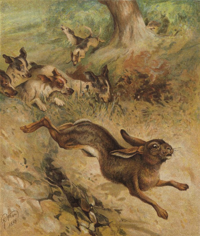 A Run for Life（chromolitho） 作者 哈里森·威廉·威尔