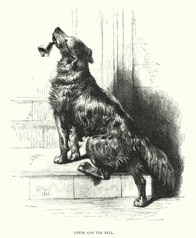 Chum and the bell (engraving) 作者 哈里森·威廉·威尔