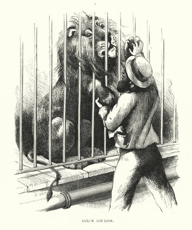 Sailor and lion (engraving) 作者 哈里森·威廉·威尔