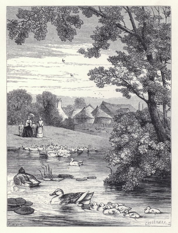 The Duck Pond (engraving) 作者 哈里森·威廉·威尔