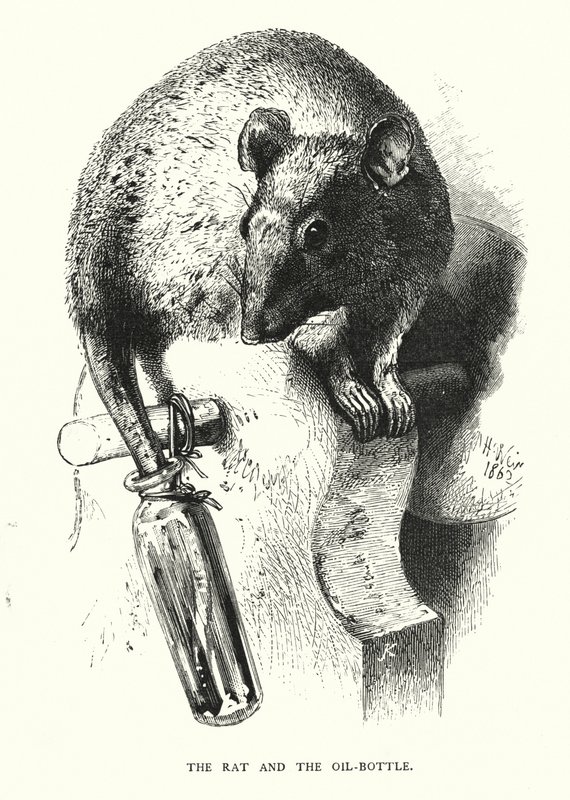 The rat and the oil-bottle (engraving) 作者 哈里森·威廉·威尔