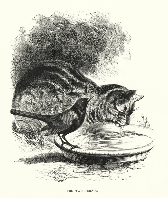 The two friends (engraving) 作者 哈里森·威廉·威尔
