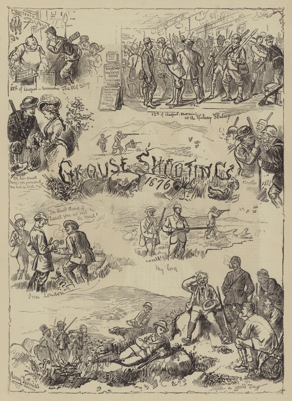 1876年松鸡射击 作者 哈里·弗尼斯（Harry Furniss）