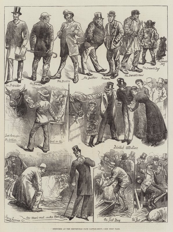 Smithfield Club Cattle-Show的草图 作者 哈里·弗尼斯（Harry Furniss）