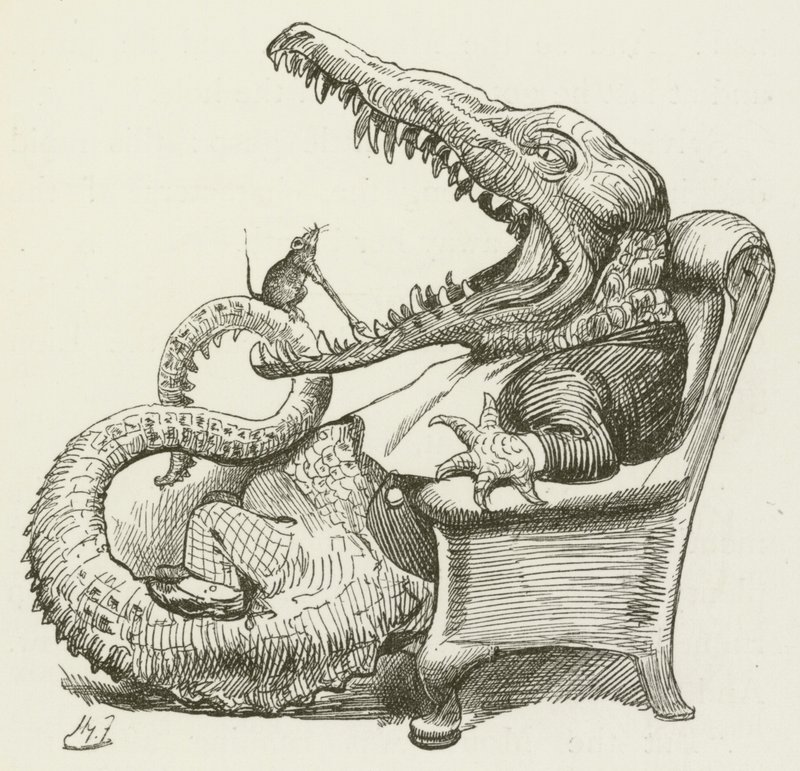刘易斯卡罗尔的西尔维和布鲁诺的插图 作者 哈里·弗尼斯（Harry Furniss）