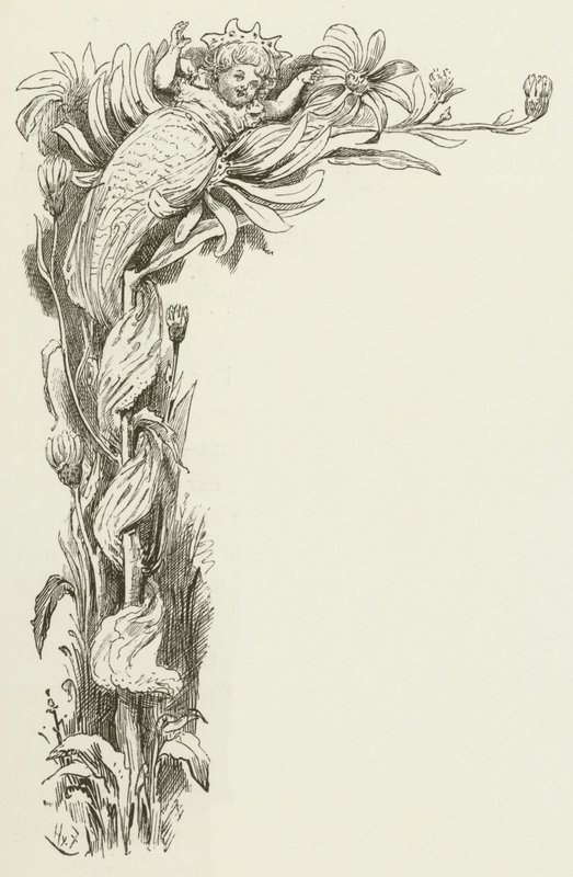刘易斯卡罗尔的西尔维和布鲁诺的插图 作者 哈里·弗尼斯（Harry Furniss）