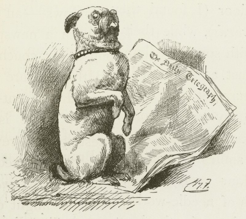 刘易斯卡罗尔的西尔维和布鲁诺的插图 作者 哈里·弗尼斯（Harry Furniss）