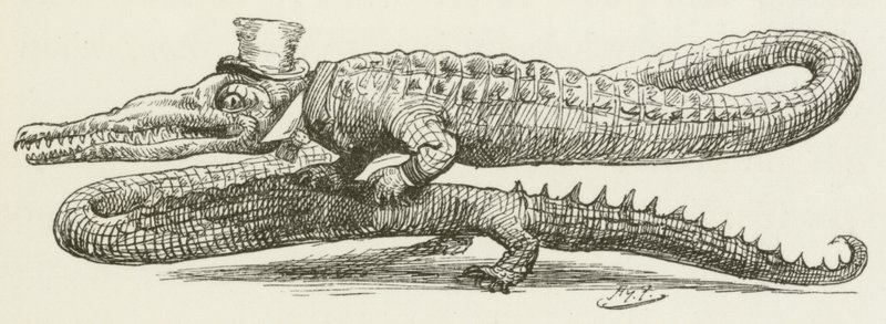 刘易斯卡罗尔的西尔维和布鲁诺的插图 作者 哈里·弗尼斯（Harry Furniss）