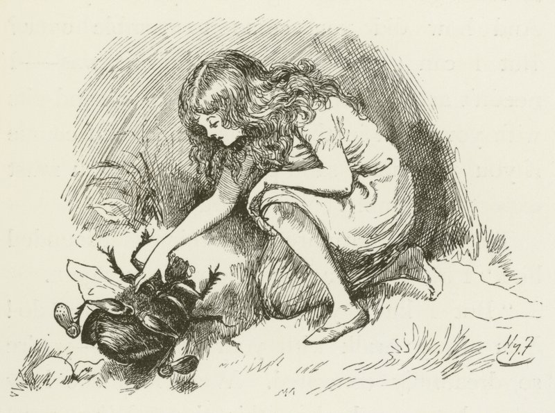 刘易斯卡罗尔的西尔维和布鲁诺的插图 作者 哈里·弗尼斯（Harry Furniss）