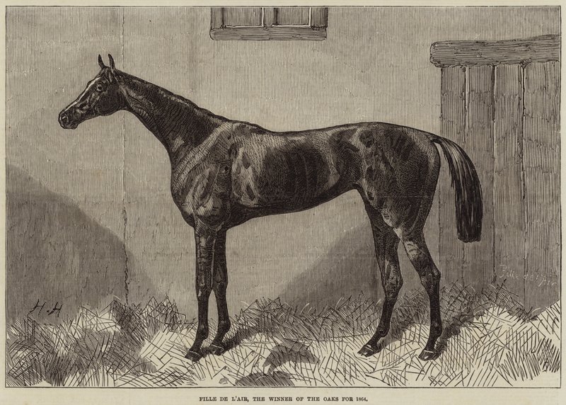 Fille de l&39;Air，1864年奥克斯的获奖者 作者 哈里·霍尔