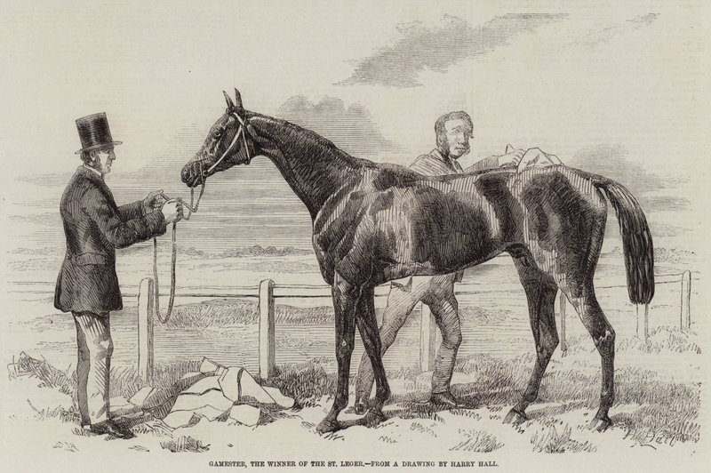 Gamester，St Leger的获胜者 作者 哈里·霍尔