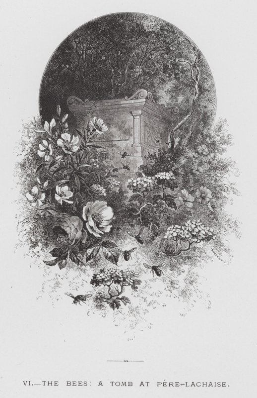 The Insect: The Bees, a Tomb at Pere-Lachaise (engraving) 作者 赫克托·贾科梅利