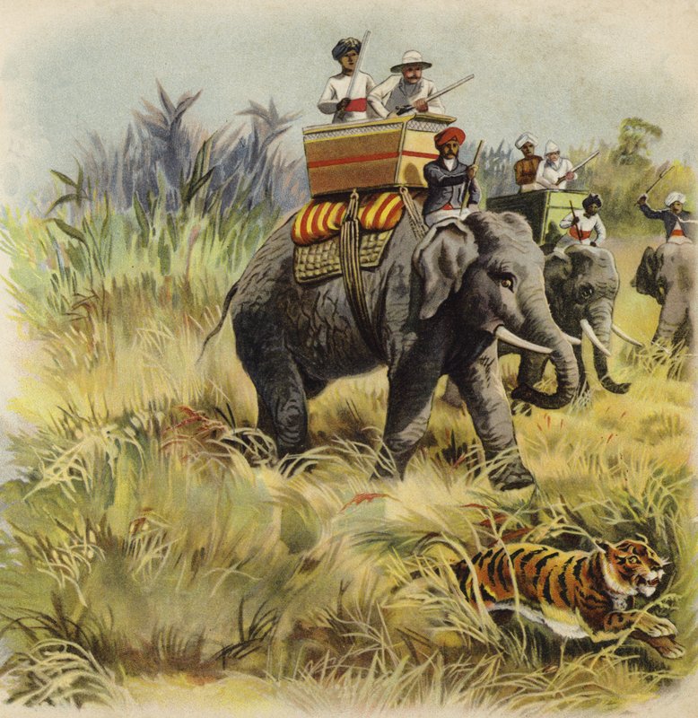 威尔士亲王在印度寻找老虎（chromolitho） 作者 亨利·佩恩
