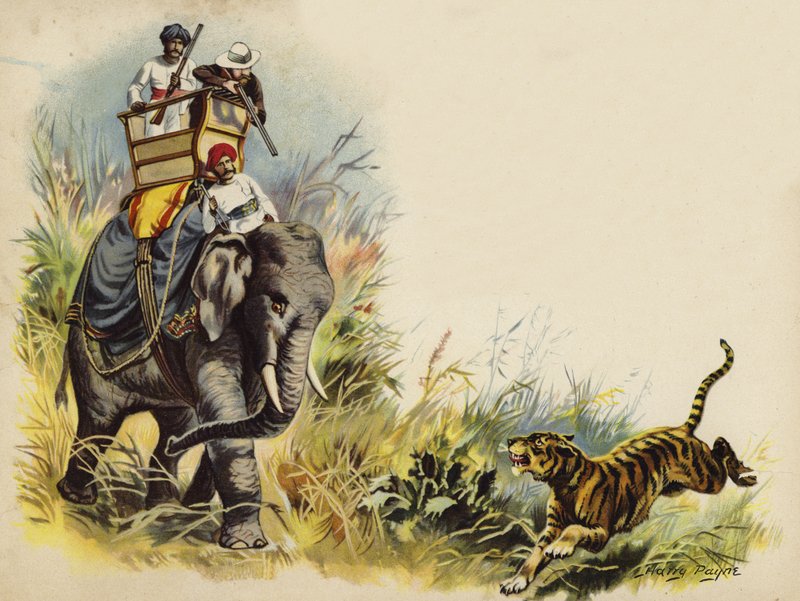 威尔士亲王在1905年印度皇家之旅中拍摄的老虎（chromolitho） 作者 亨利·佩恩