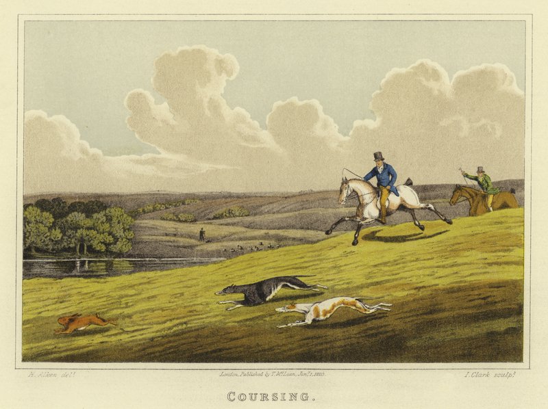 Coursing（chromolitho） 作者 亨利·托马斯·阿尔肯