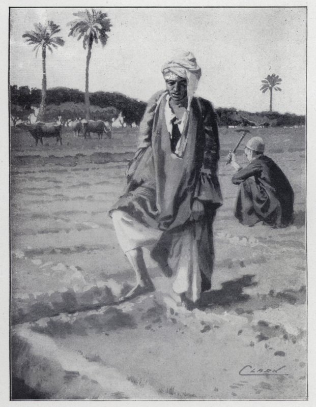 Watering with the foot at Gizeh, Egypt (litho) 作者 亨利·安德鲁·哈珀
