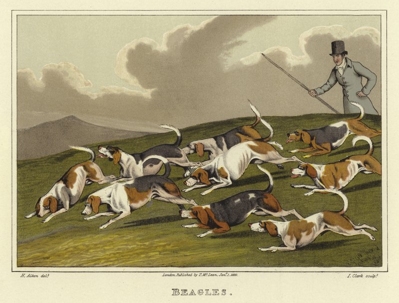 小猎犬（chromolitho） 作者 亨利·托马斯·阿尔肯