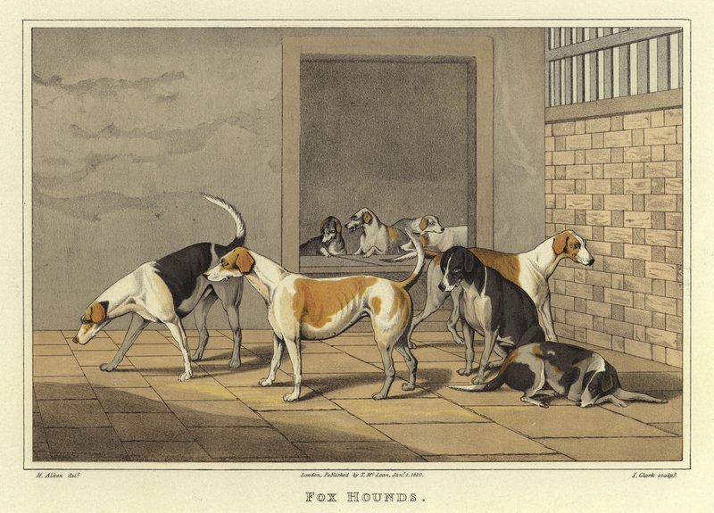 狐狸猎犬（chromolitho） 作者 亨利·托马斯·阿尔肯