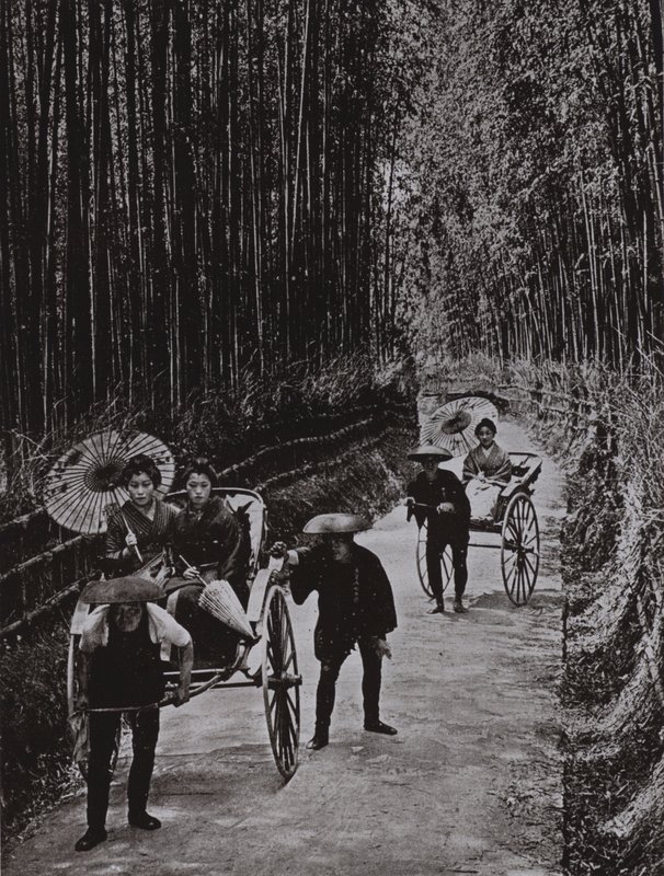 京都的竹林大道（黑白照片） 作者 赫伯特·庞廷