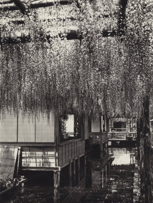 1920 年代的日本：东京、龟户（黑白照片） 作者 赫伯特·庞廷