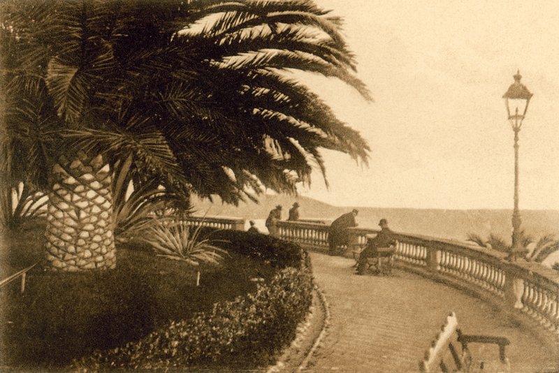 San Remo, Giardini Regina Elena (b/w photo) 作者 意大利摄影师
