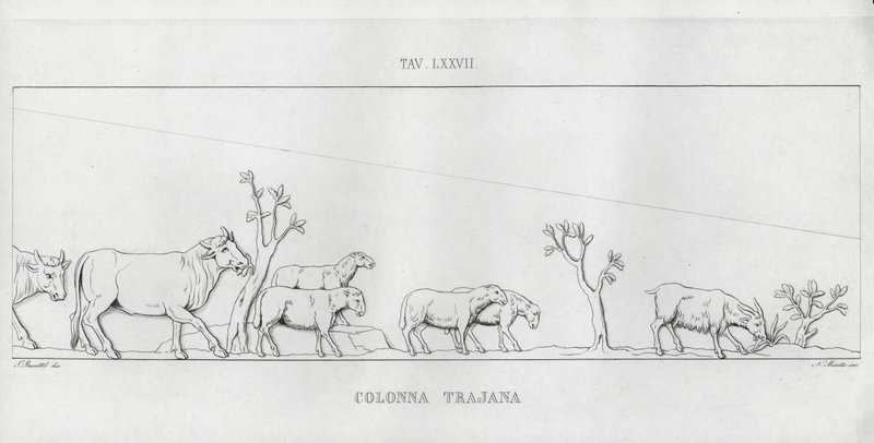 La Colonna Trajana，图拉真的柱子（雕刻） 作者 意大利学校