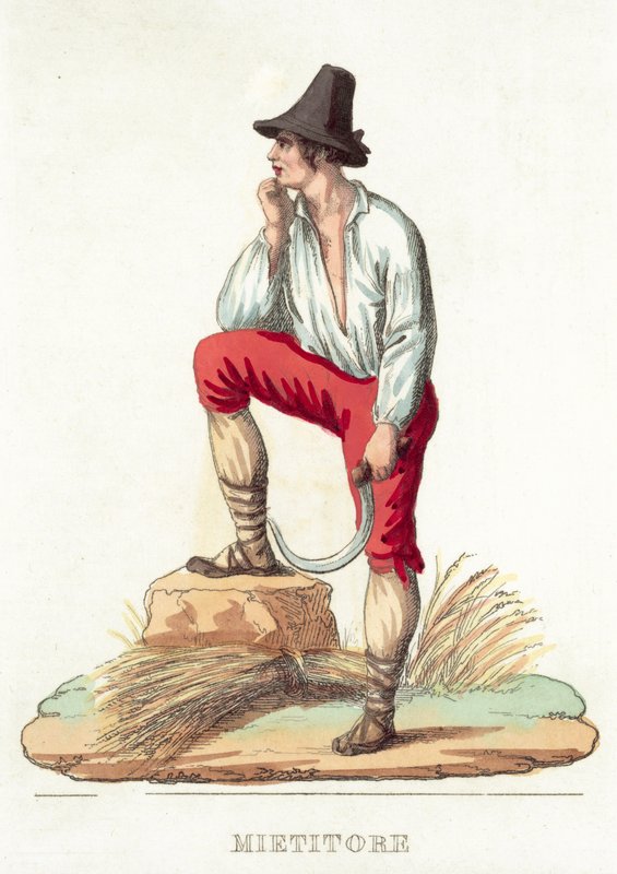 Mietitore (coloured engraving) 作者 意大利学校
