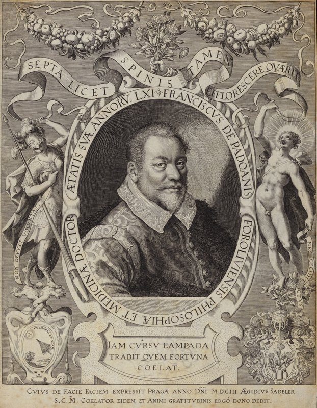 Franciscus de Padoanis Foroliviensis画象 作者 意大利学校