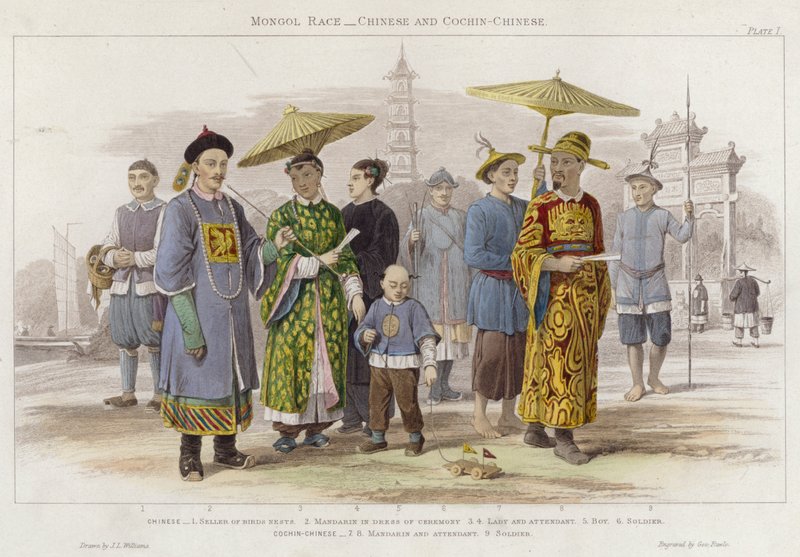 蒙古人种、中国人和交趾中国人（彩色雕刻） 作者 JL（之后）威廉姆斯