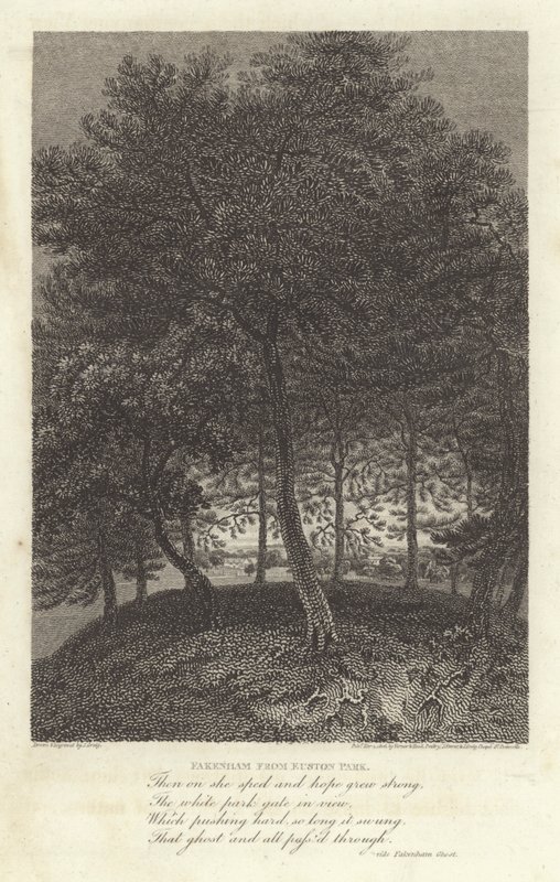 Robert Bloomfield, poet: Fakenham from Euston Park (engraving) 作者 格里格