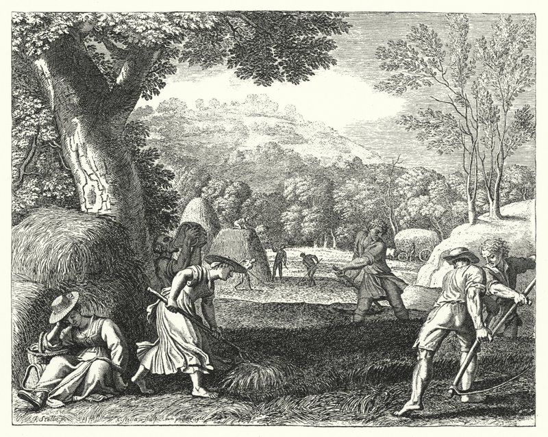 Harvest scene (engraving) 作者 雅克·斯特拉（Jacques Stella）
