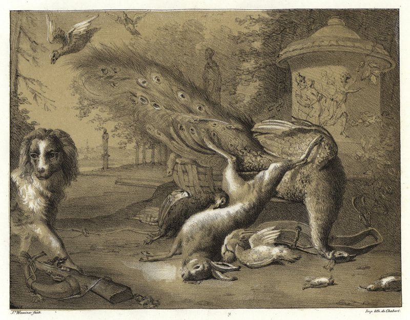 静物与孔雀和一只狗 作者 Jan Baptist Weenix