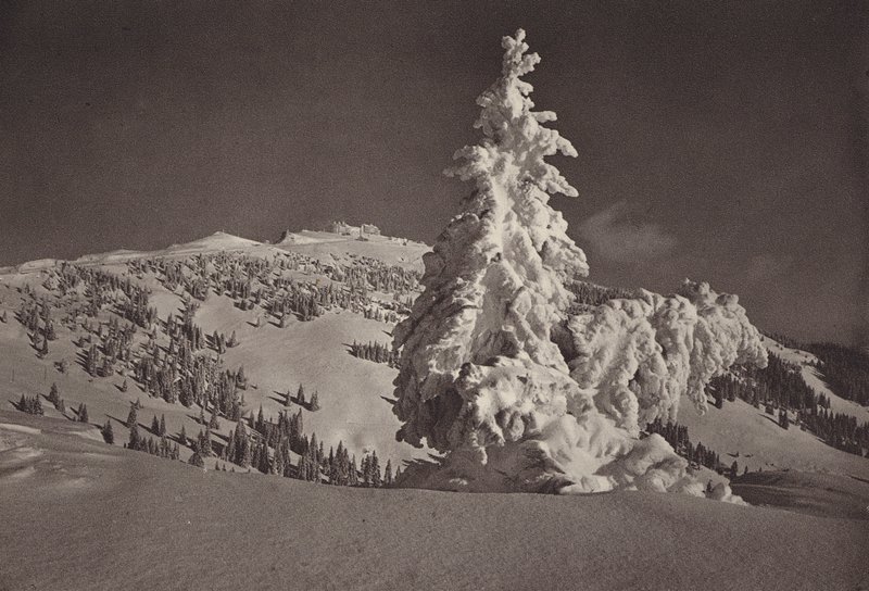 通往里基库尔姆（Rigi Kulm）滑雪场的里基卡尔特巴德（Rigi Kaltbad）（黑白照片 作者 让·加贝雷尔