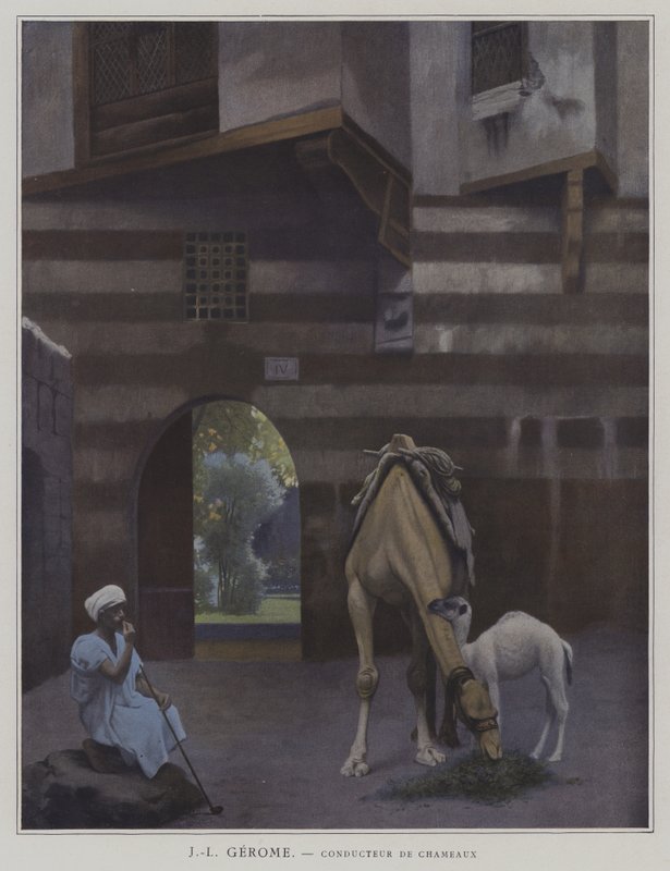 Ngamila Yoyendetsa (litho litho) 作者 吉恩·莱昂（后）杰罗姆