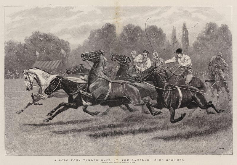 Ranelagh俱乐部场地的Polo Pony Tandem Race 作者 约翰·查尔顿