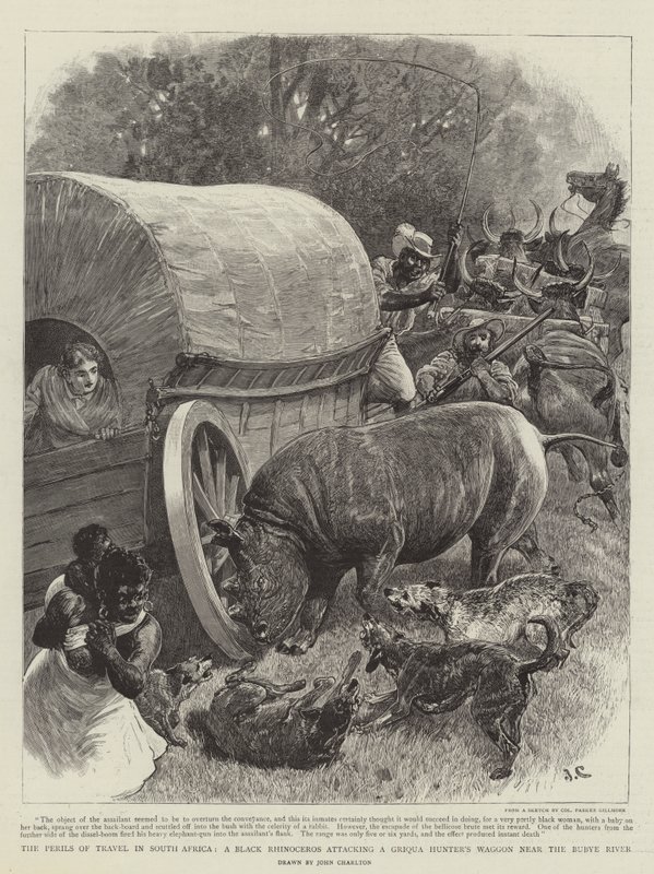 南非的旅行危险，一只黑犀牛攻击布比河附近的Griqua Hunter&39;s Waggon 作者 约翰·查尔顿