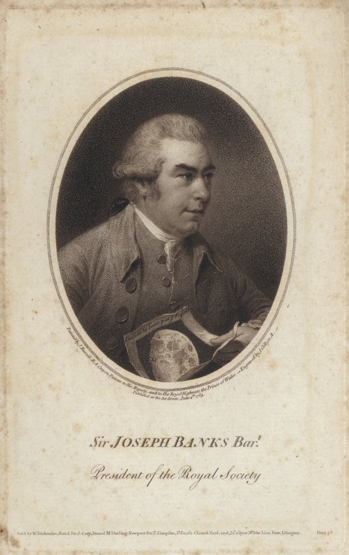 Sir Joseph Banks, English naturalist, botanist and President of the Royal Society (engraving) 作者 约翰（后）罗素