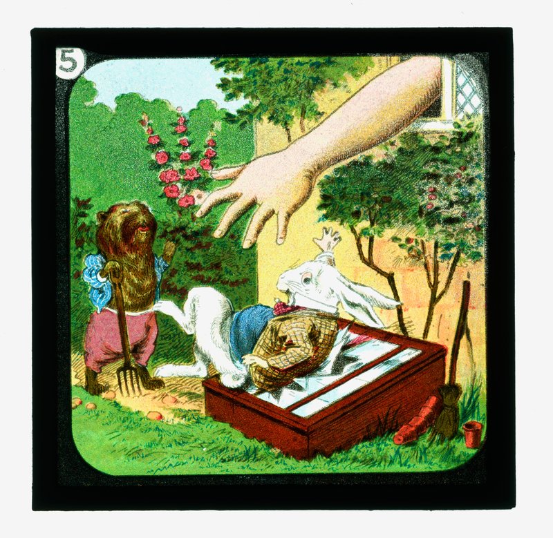 Alice in Wonderland, Coloured Lantern Slides (lantern slide) 作者 约翰（后）坦尼尔