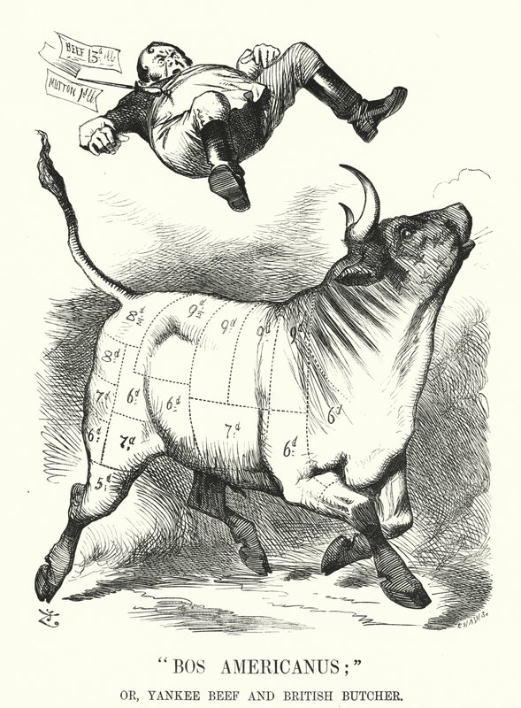 Punch cartoon: Bos Americanus; or, Yankee Beef and British Butcher - expected benefits to consumers of importing American meat (engraving) 作者 约翰（后）坦尼尔