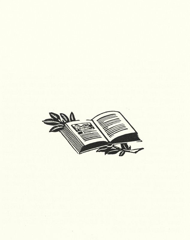 古斯塔夫·福楼拜为《包法利夫人》绘制的插图（平版印刷） 作者 约翰奥斯汀
