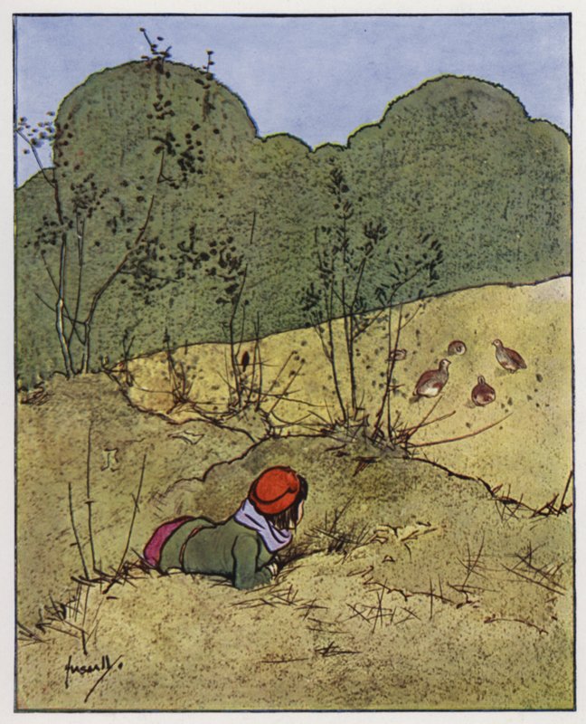 The partridge (colour litho)   1405165   zh       chinese Successfully Translated  Original: Das zweihundertfünfundneunzigste Bild seit das zweite mal unsere ständig verändernden Reise der Entdeckung begann 3 Translat: Das zweihundertfünfundneunzigste Bild 作者 约翰·哈索尔