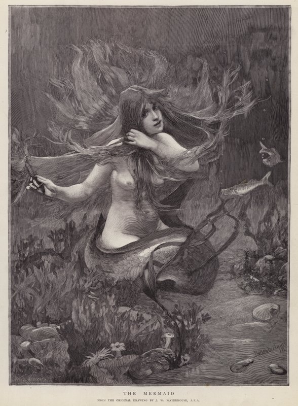 The Mermaid (litho) 作者 约翰·威廉姆（后）沃特豪斯
