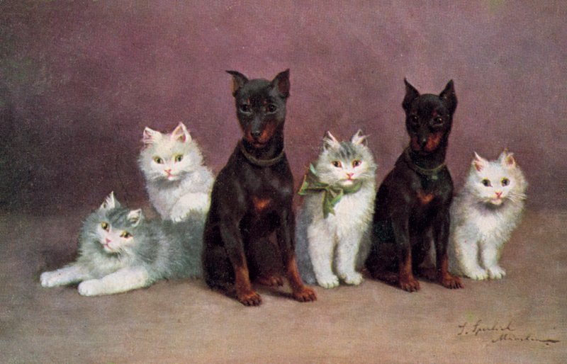 猫明信片（彩色平版） 作者 约瑟夫·斯佩利希
