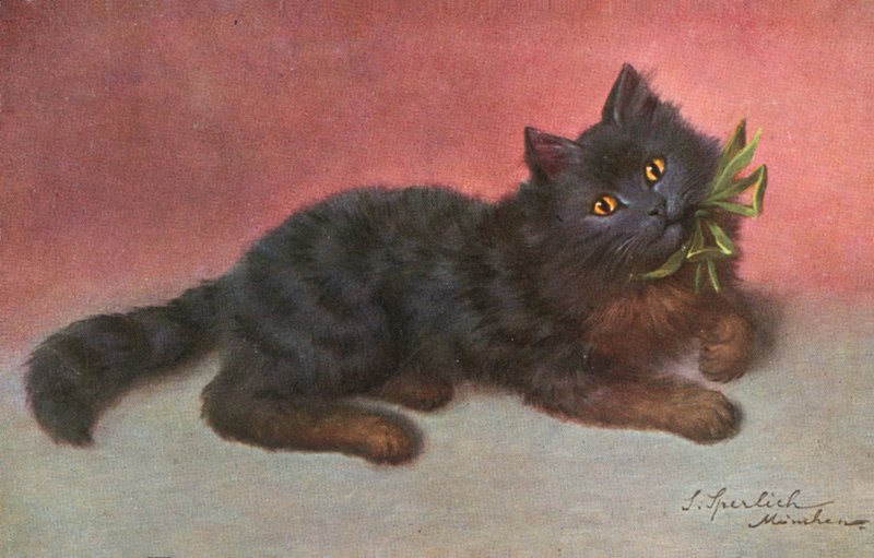 猫明信片（彩色平版） 作者 约瑟夫·斯佩利希