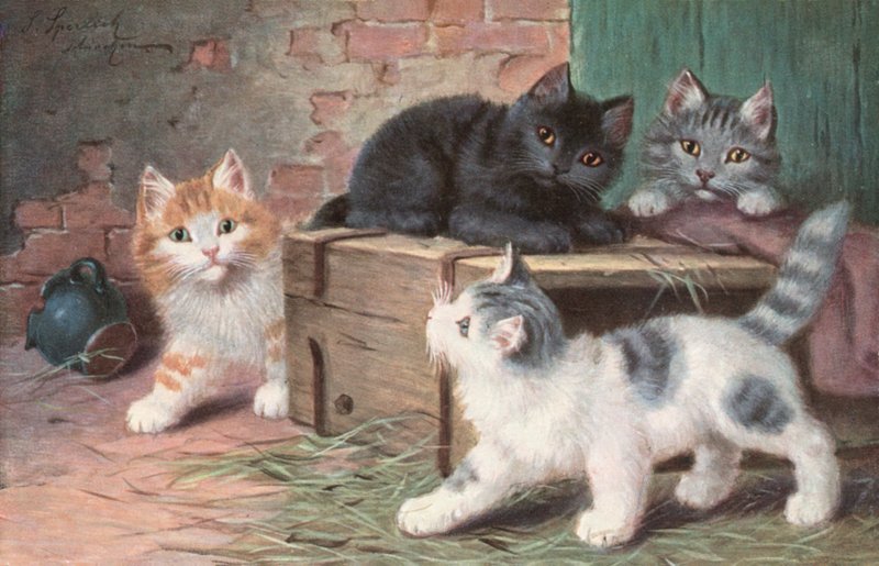 猫明信片（彩色平版） 作者 约瑟夫·斯佩利希