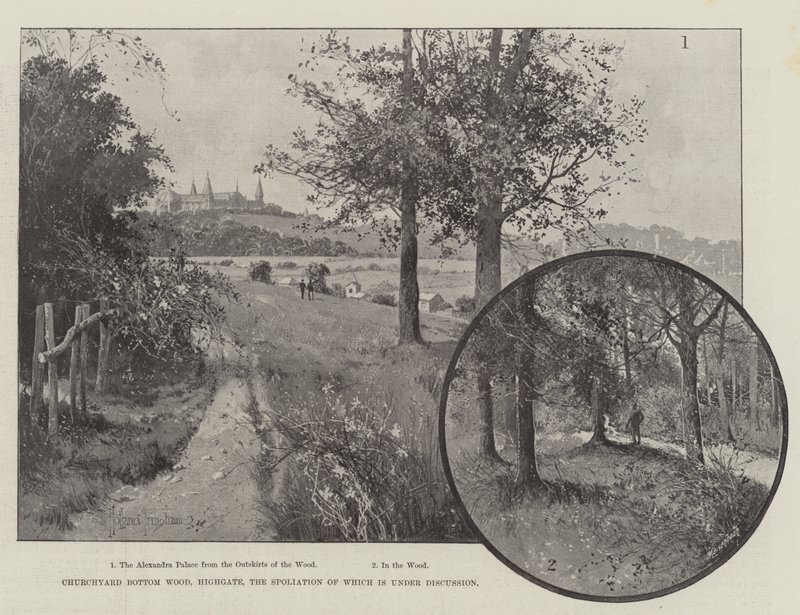 Churchyard Bottom Wood，Highgate，其中的浮动正在讨论中 作者 约瑟夫·霍兰·特林厄姆
