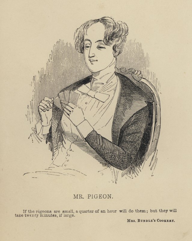 Kenny Meadows: Mr Pigeon (engraving) 作者 约瑟夫·肯尼（后）梅多斯